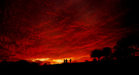 Sunset over Primrose Hill